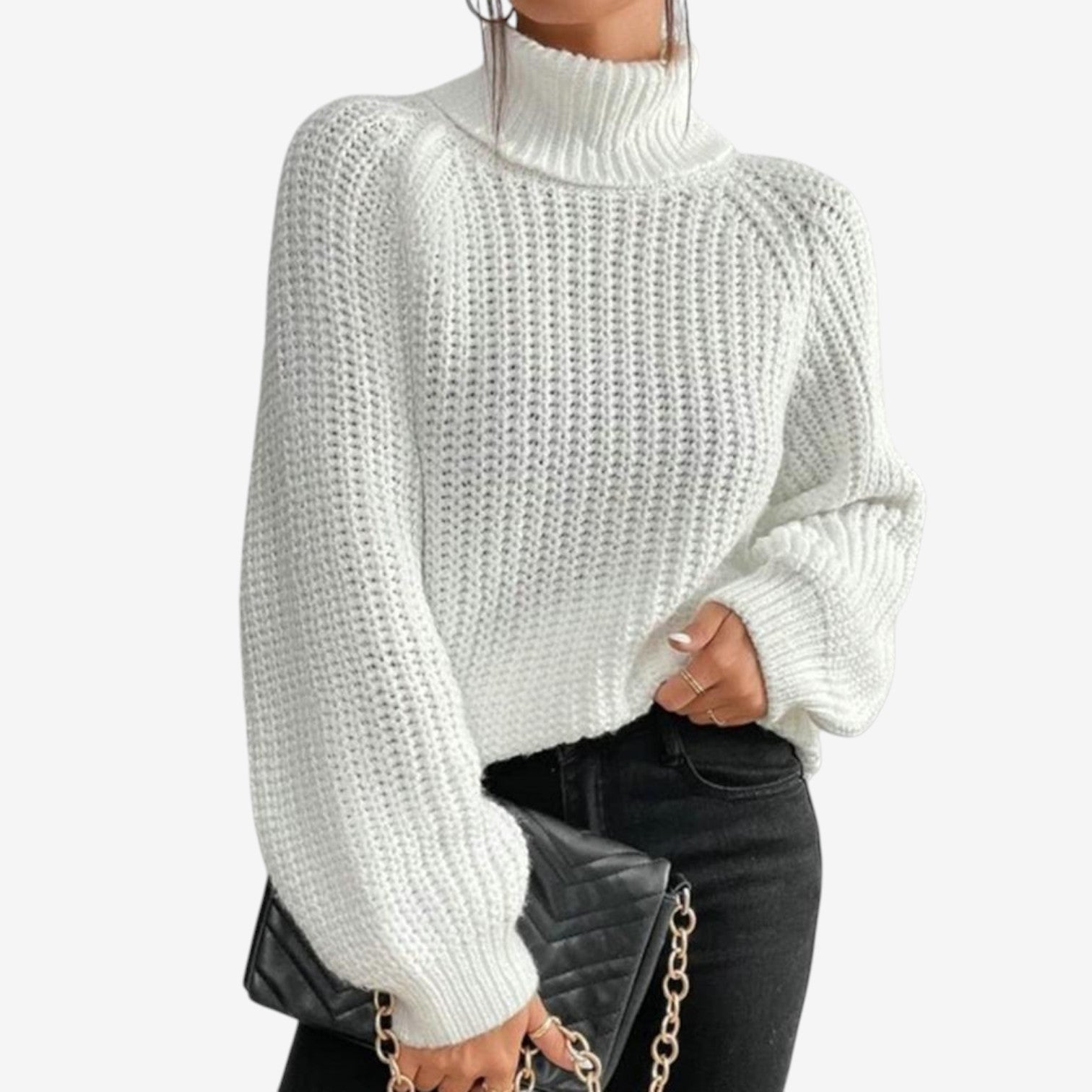 Monteiro™ Pull à Col Roulé